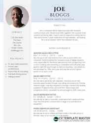 Cv Template Collection 183 Free Professional Cv Templates In Word