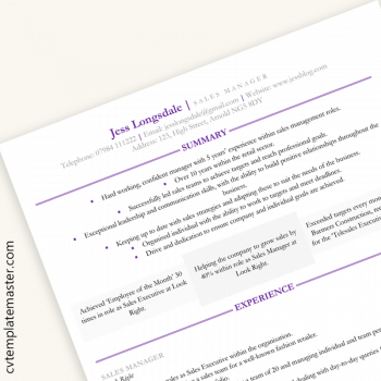 Sales Manager CV or Resume template - preview