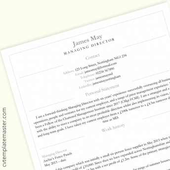 Director CV template: free ‘Smart Division’ design in Word