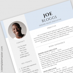 Sales executive CV : ‘Certified’ Free CV template in MS Word